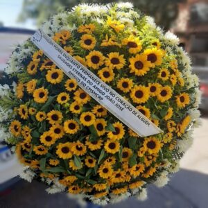 29-GIRASSÓIS Tam: 1,60