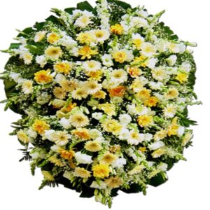 18-COROA DUPLA NOBRE TONS BRANCOS E AMARELOS Tam:1,80