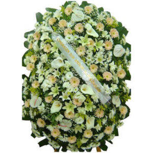 20-COROA DUPLA NOBRE TONS CHÁ E BRANCOS Tam:1,70